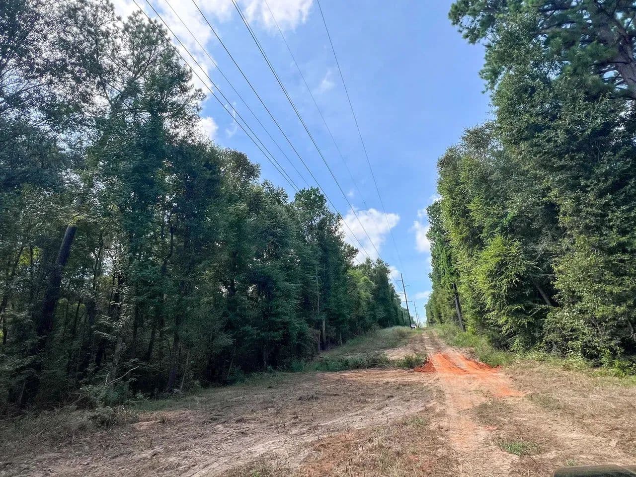 186 Acres | County Road 3302 - Jacksonville, Texas, 75766