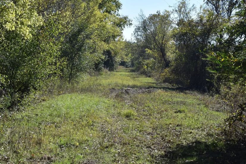 Barkman Creek South #2