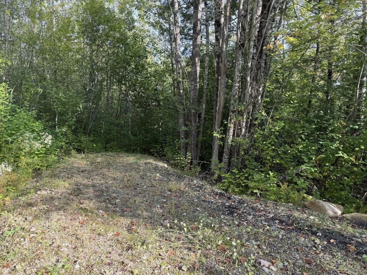 Vacant Land in Belfast - Belfast, Maine, 04915