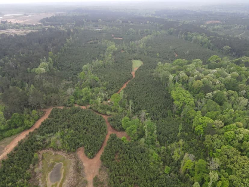 101.92 Acres in Copiah County, MS 