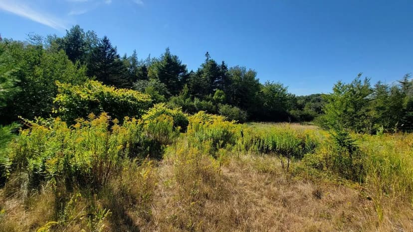 Land -Single Family Acreage in Jonesboro