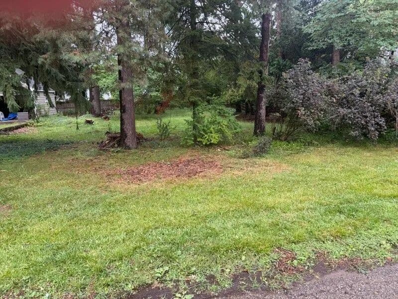 Property from 1122 Parker Avenue - KW - Kalamazoo, Michigan, 49008