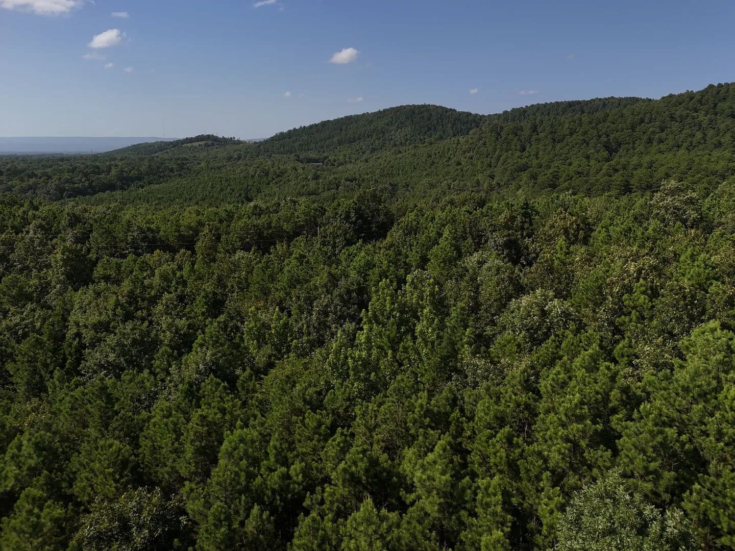 Land -Single Family Acreage in Mena - Mena, Arkansas, 71953