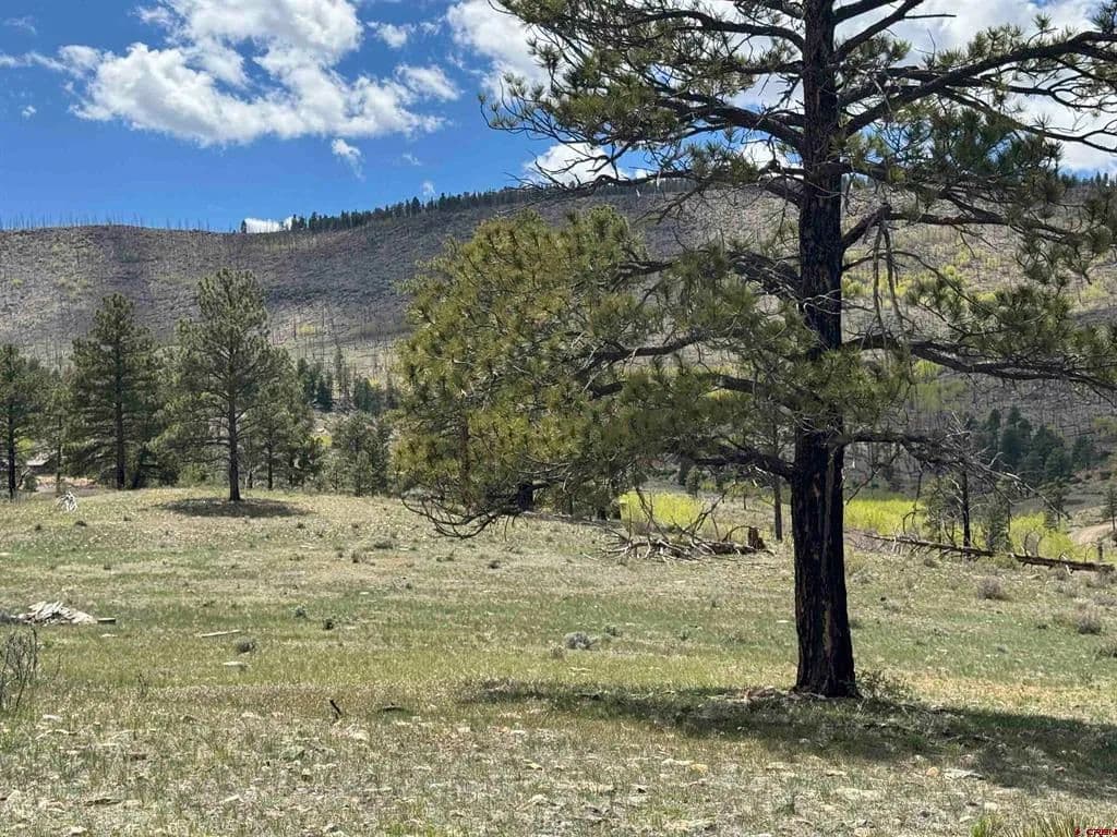 20 Acres of Land for Sale in South Fork, CO - South Fork, Colorado, 81154