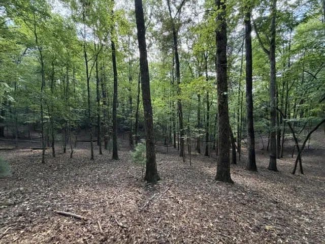 Lots & Land-Other in Ellijay - Ellijay, Georgia, 30540