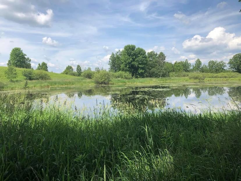 Property from TBD Dixon Line Rd - KW