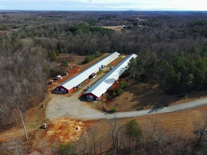 A&G Breeder Farm – Two House Farm in Rutherford County, North Carolina