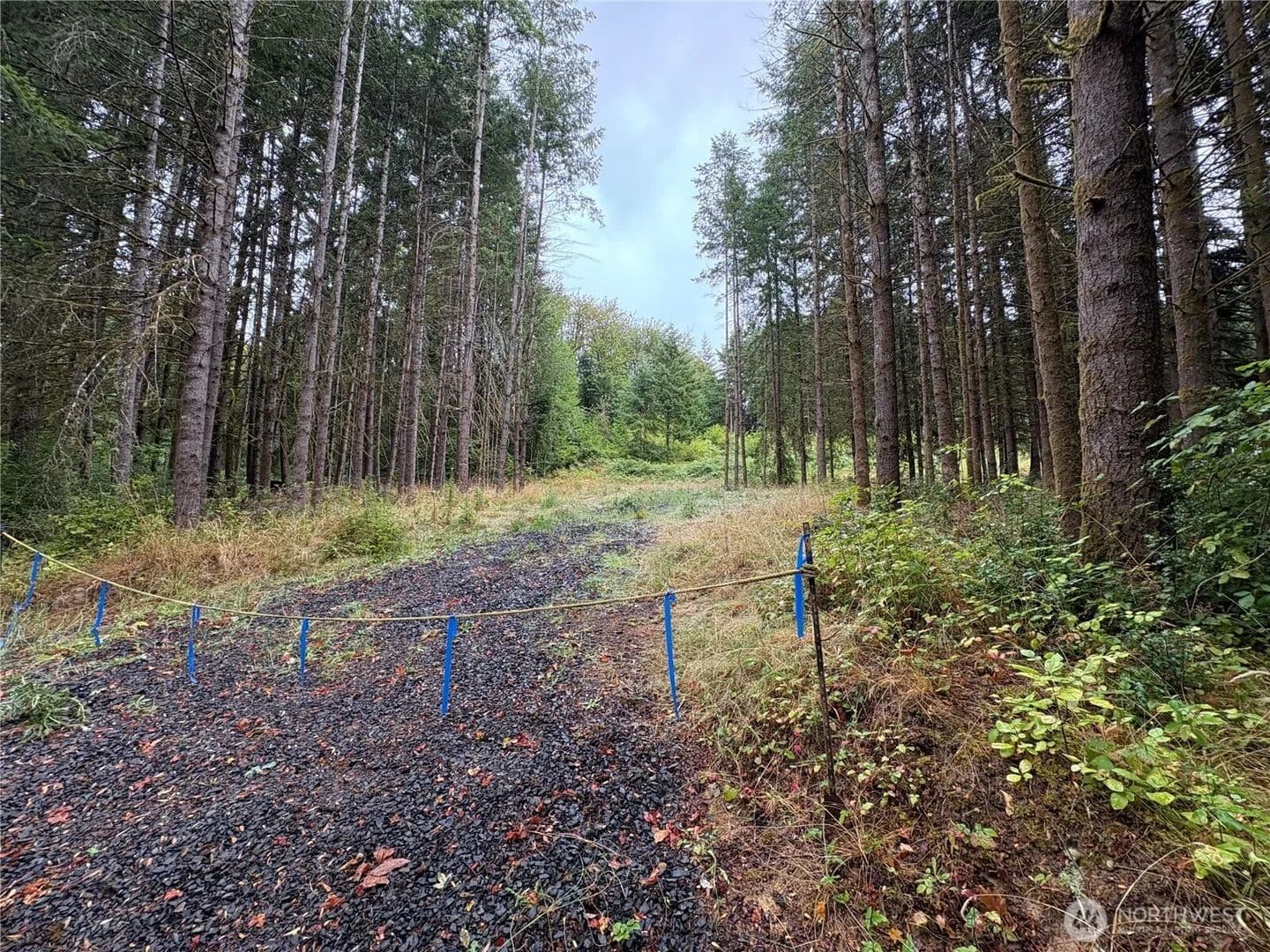 Vacant Land in Winlock - Winlock, Washington, 98596