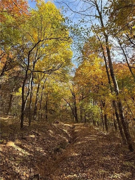 Lots & Land-Other in West Fork - West Fork, Arkansas, 72774