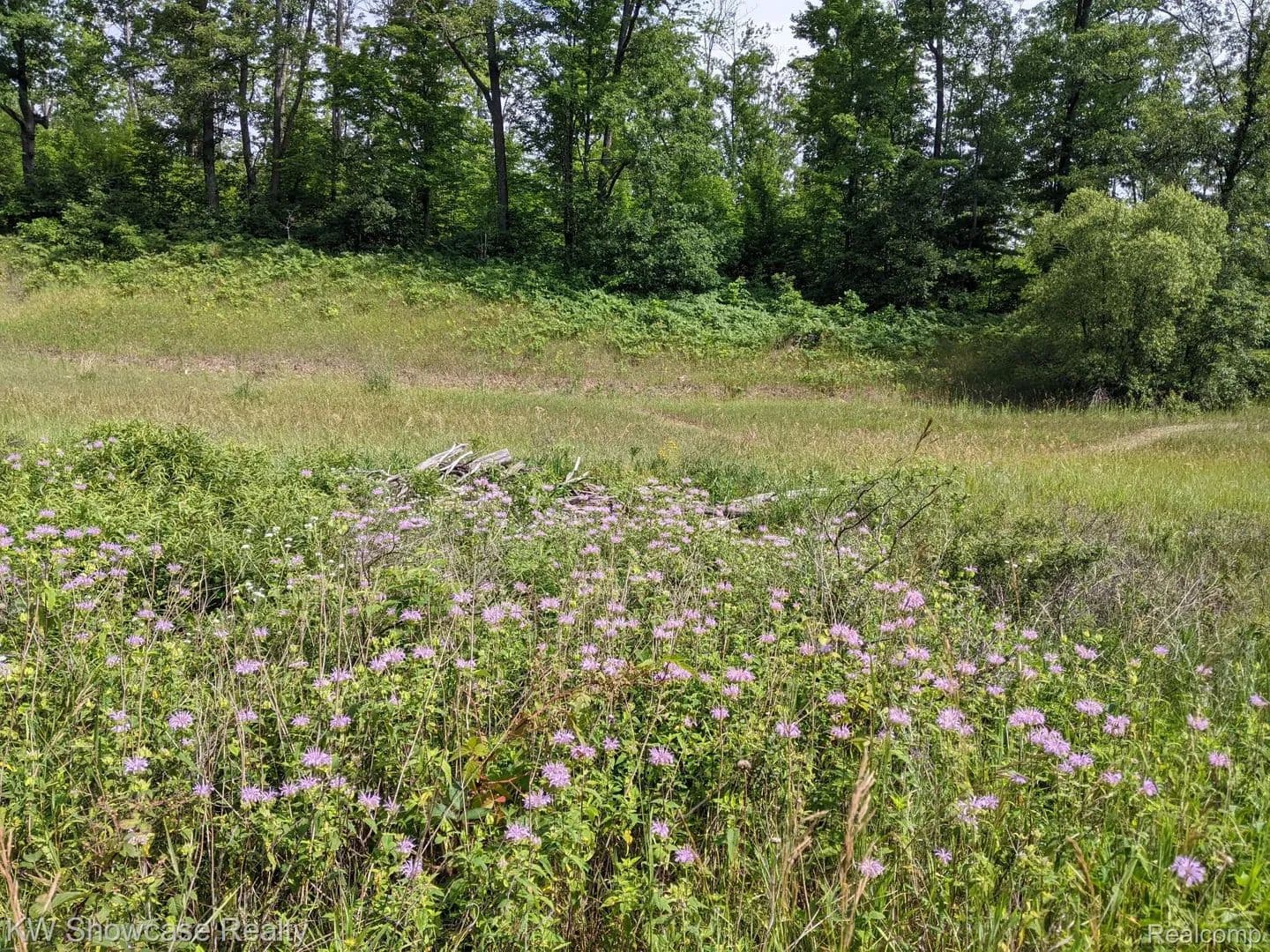 40 Acres of Land for Sale in Hayes Township, MI - Michigan, 48625