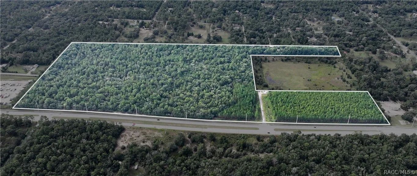 61.41 Acres of Land for Sale in Hernando, FL - Hernando, Florida, 34442