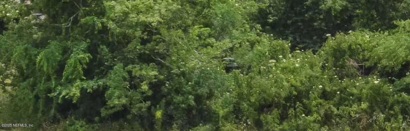 Lots & Land-Other in Jacksonville