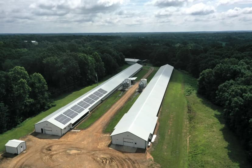 PRICE IMPROVEMENT! PGS Poultry