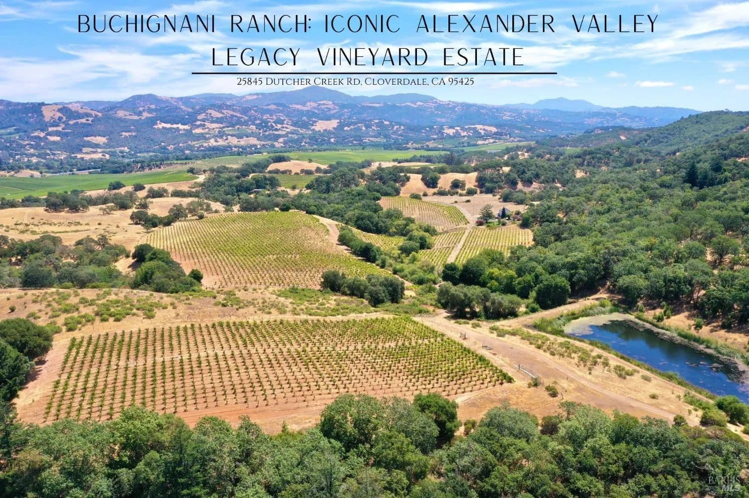 Vacant Land in Healdsburg - Healdsburg, California, 95448