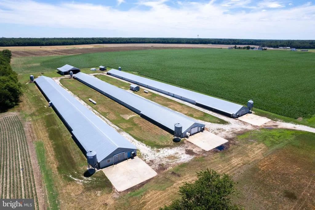 7.39 Acres of Land for Sale in BRIDGEVILLE, DE - Bridgeville, Delaware, 19933