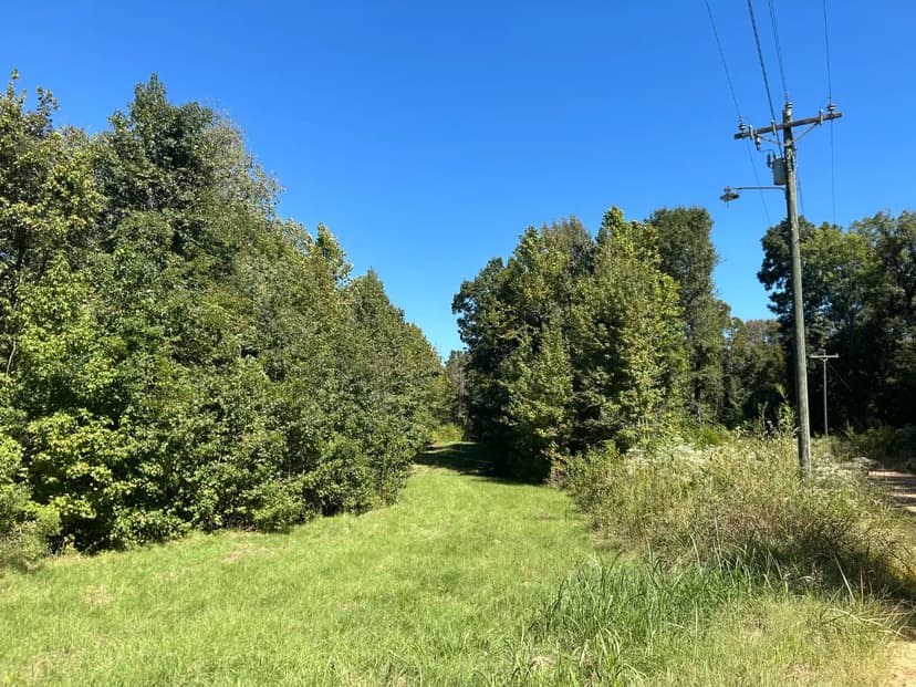 160 Acres in Yazoo County, MS