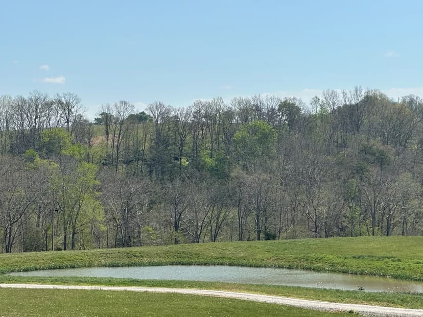 Land -Single Family Acreage in East Bernstadt