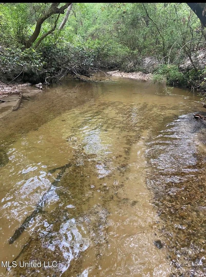 Lots & Land-Other in Lucedale