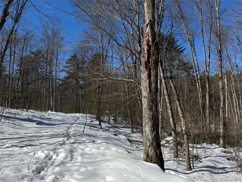 Land -Single Family Acreage in Bethel