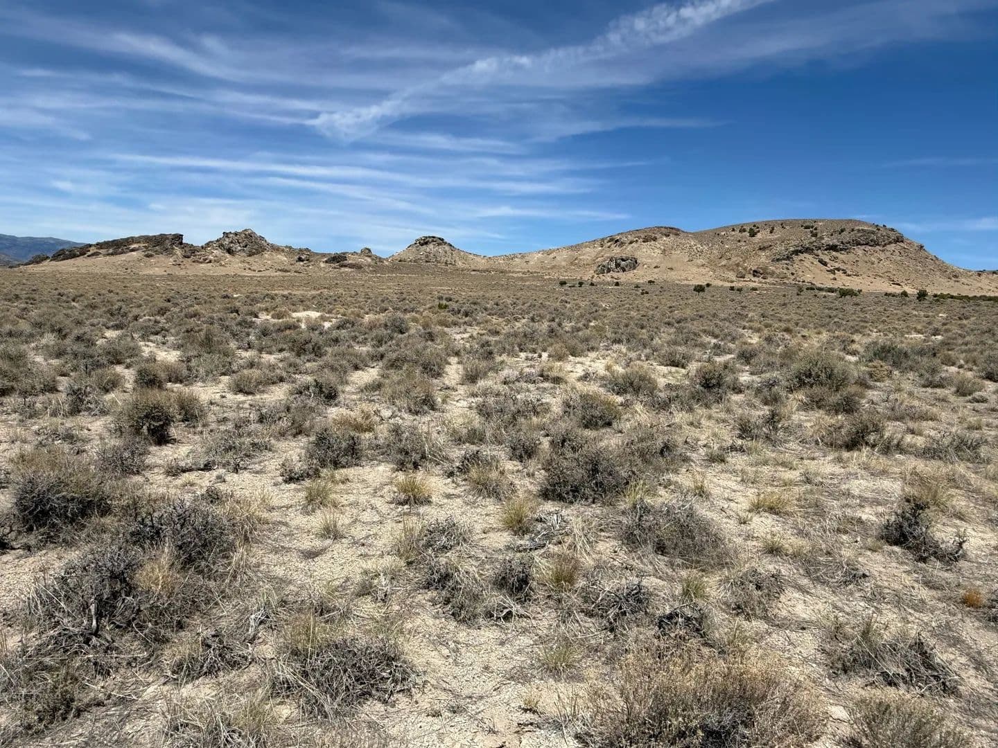Vacant Land in Park Valley - Park Valley, Utah, 84329