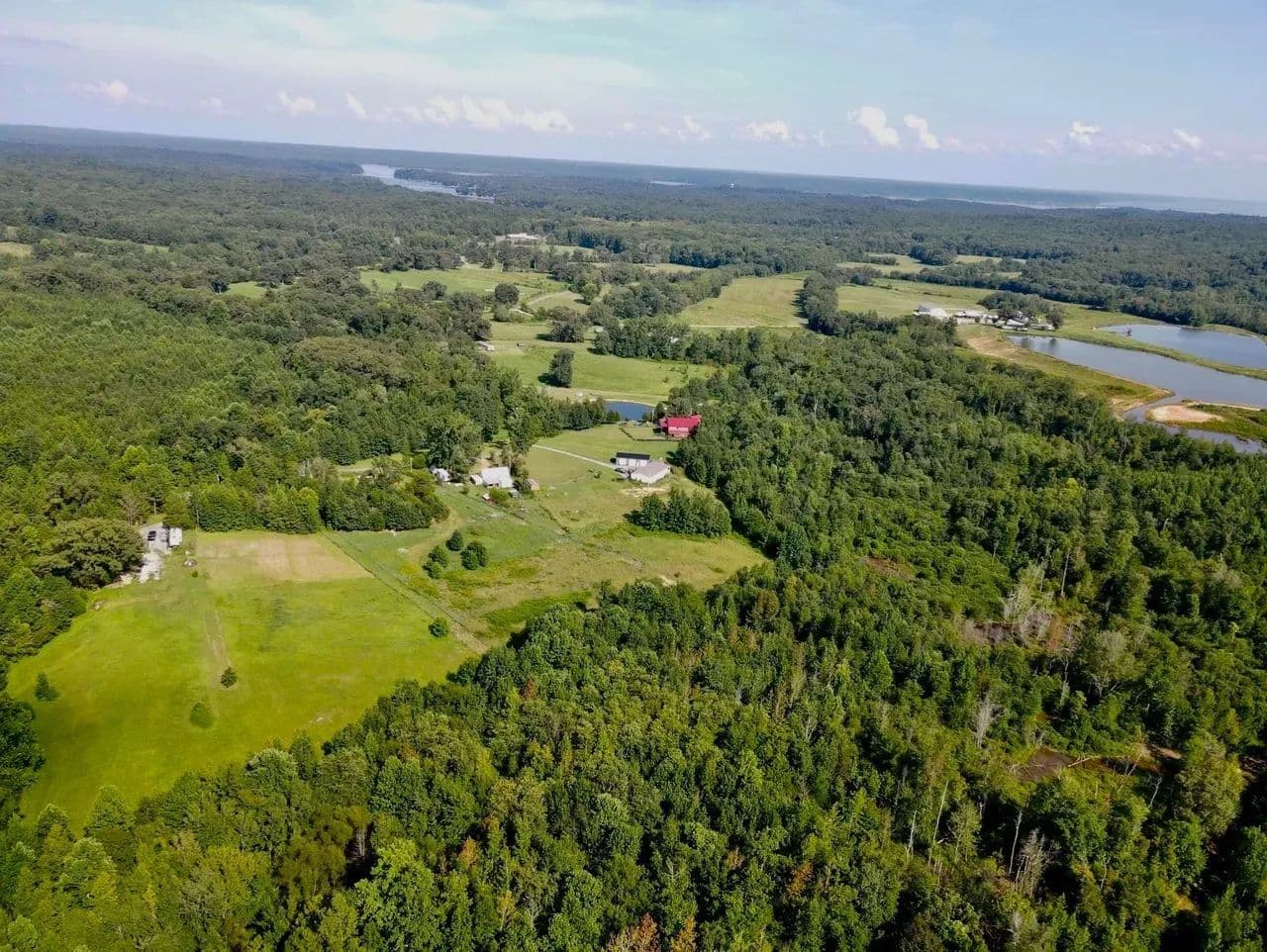 14.6 unrestricted acres near Ky Lake - New Concord, Kentucky, 42076