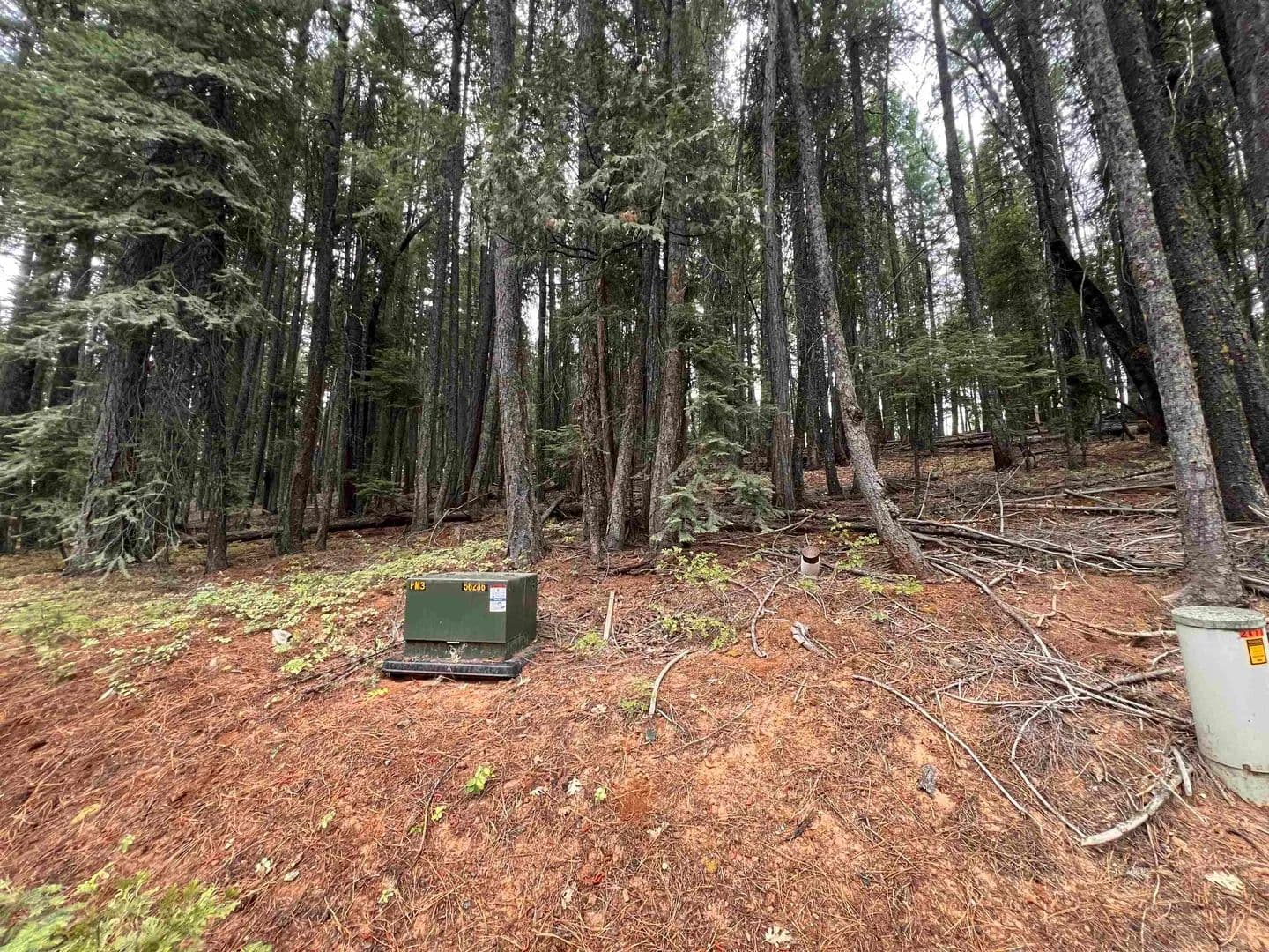Vacant Land in Quincy - Quincy, California, 96122