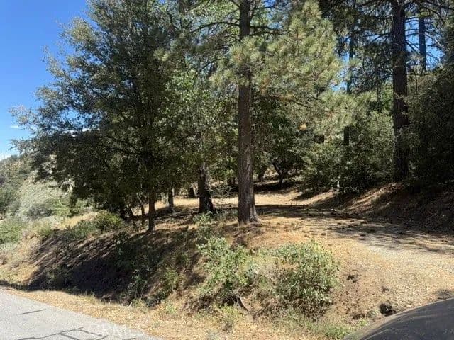 Vacant Land in Tehachapi - Tehachapi, California, 93561