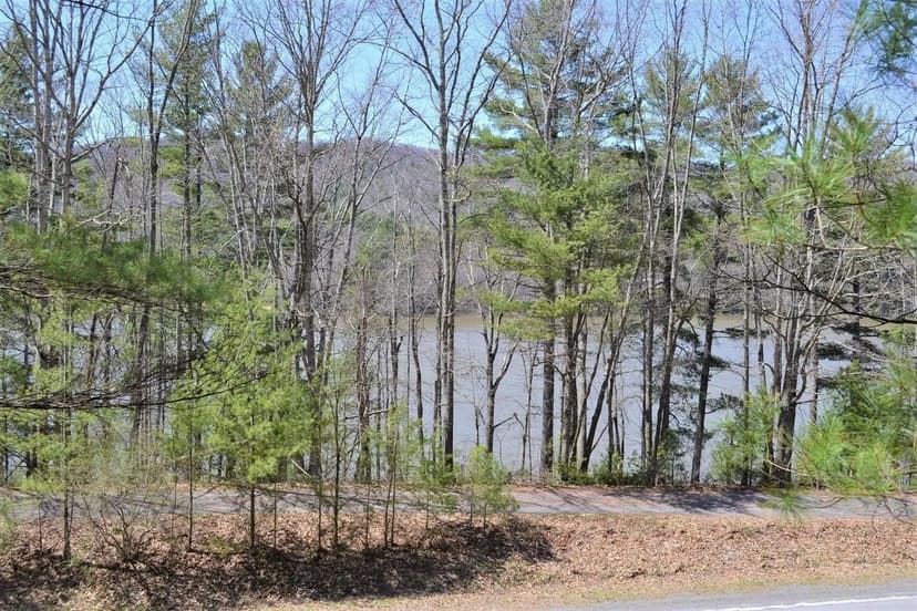 Lots & Land-Other in Gap Mills