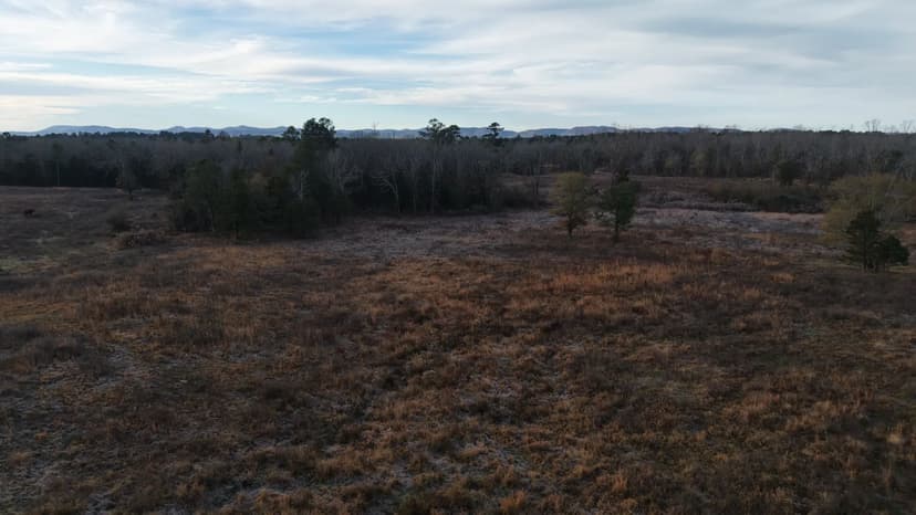 37.96 Acres in Polk County, AR 