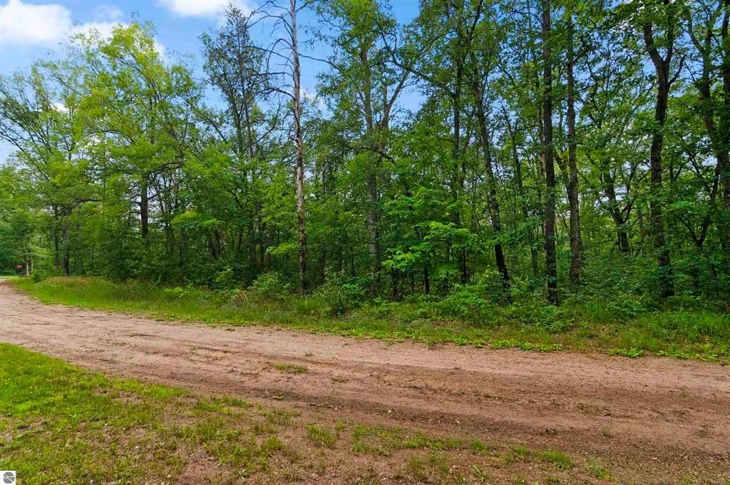 Vacant Land in Baldwin - Baldwin, Michigan, 49304
