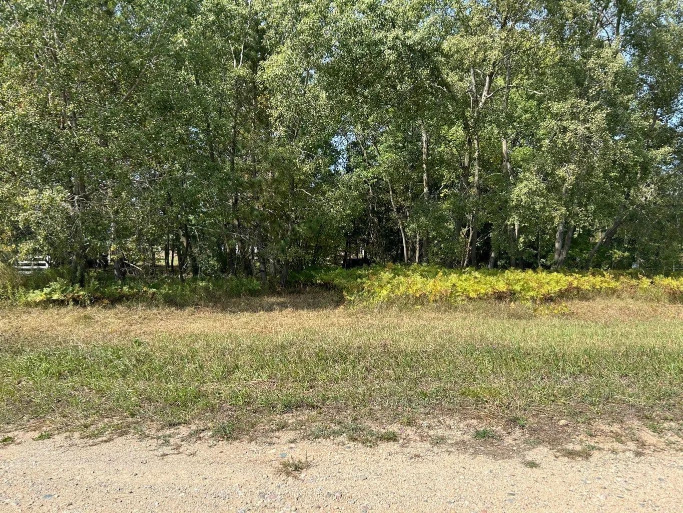 Lots & Land-Other in Stanwood - Stanwood, Michigan, 49346