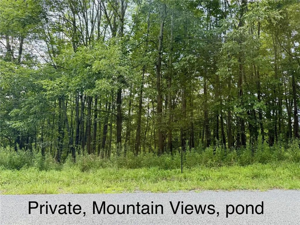 5.24 Acres of Land for Sale in Margaretville, NY - Margaretville, New York, 12455