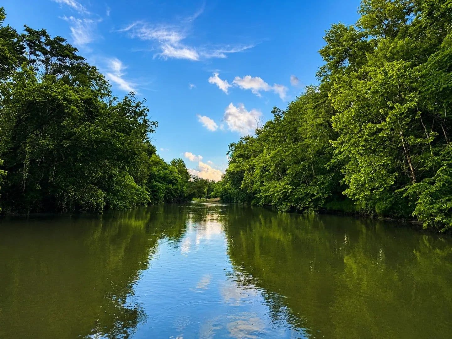 7.4 Acres of Land for Sale in Linden, TN - Linden, Tennessee, 37096