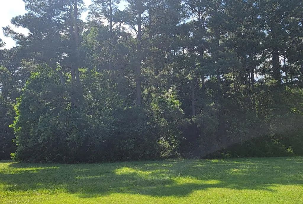 Land -Single Family Acreage in Accomac - Accomac, Virginia, 23301