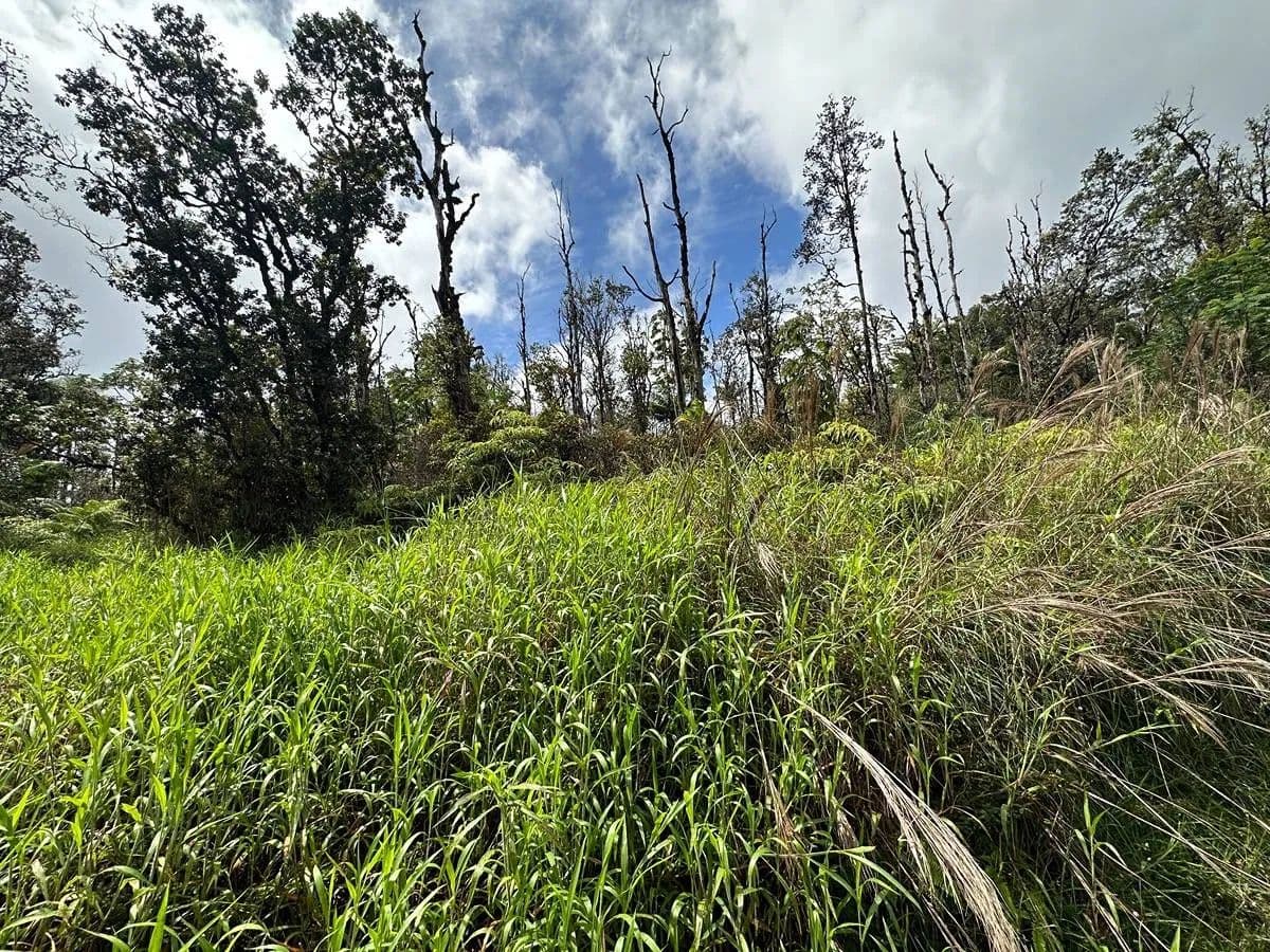 Lots & Land-Other in Mountain View - Mountain View, Hawaii, 96771