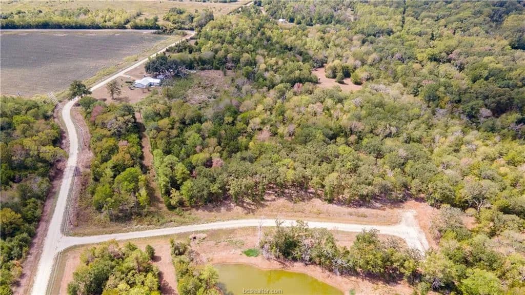 Vacant Land in Leona - Leona, Texas, 75850