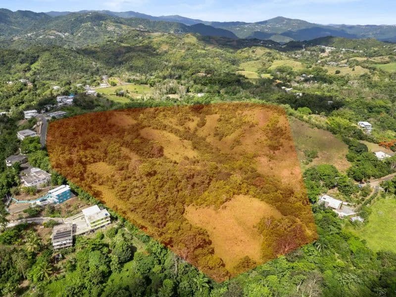 664209 Acres of Land for Sale in Caguas - Puerto Rico