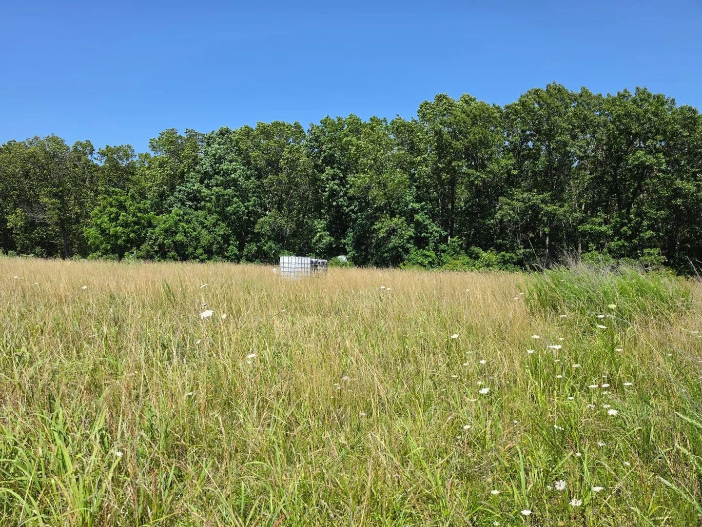 5.2 Acres of Land for Sale in Fordland, MO - Fordland, Missouri, 65652