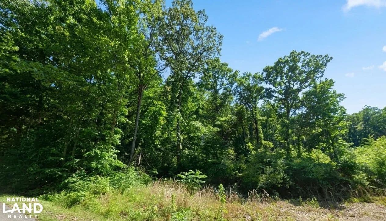 Autumn Wood Trl Private Acreage - Decatur, Alabama, 35603