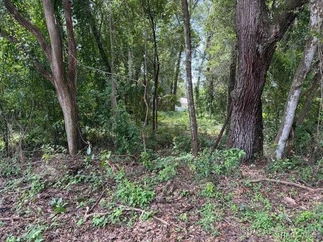 Lots & Land-Other in Inverness - Inverness, Florida, 34452