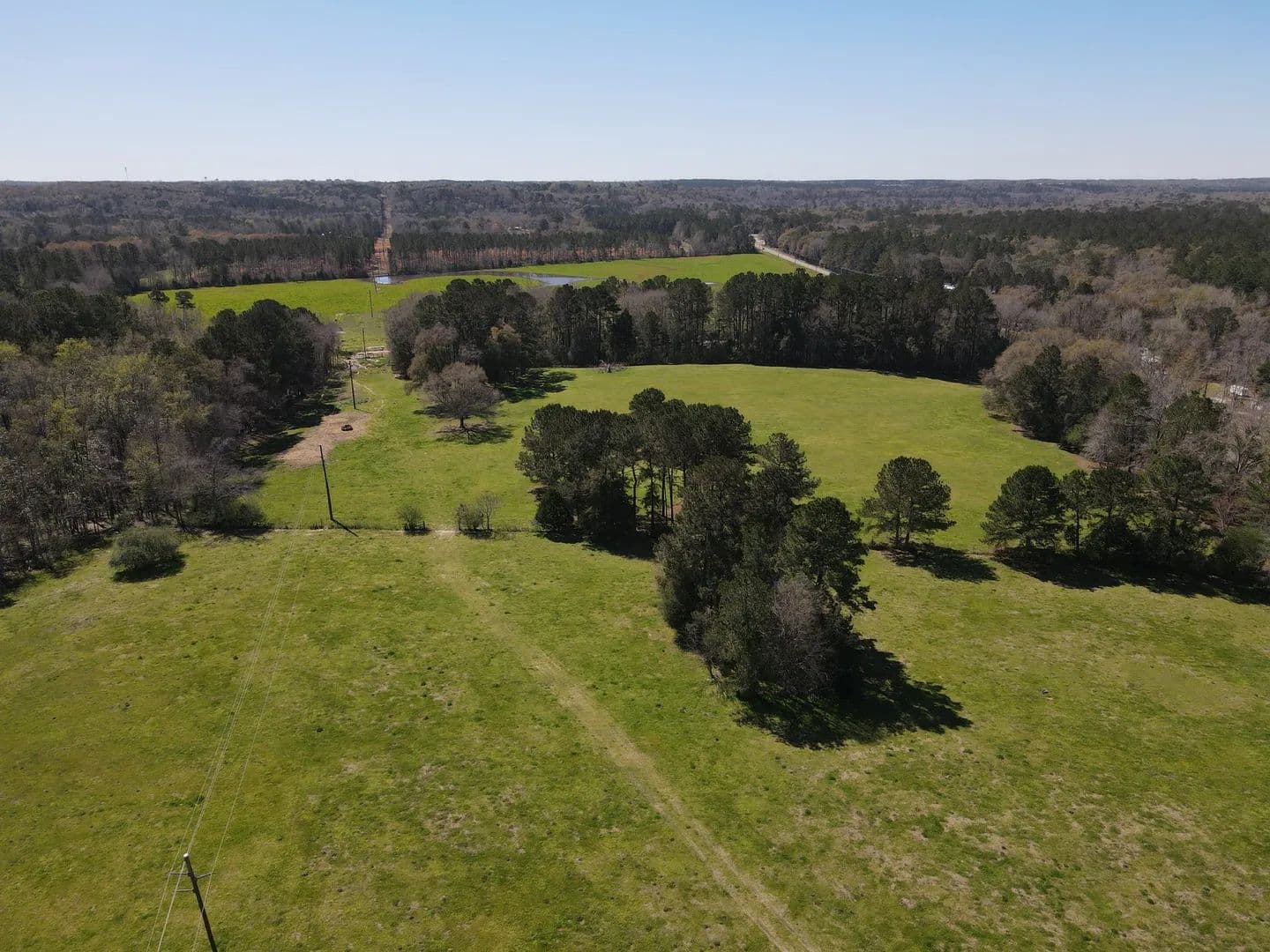 For Sale 133+/-ac acres Dale County! - Newton, Alabama, 36352