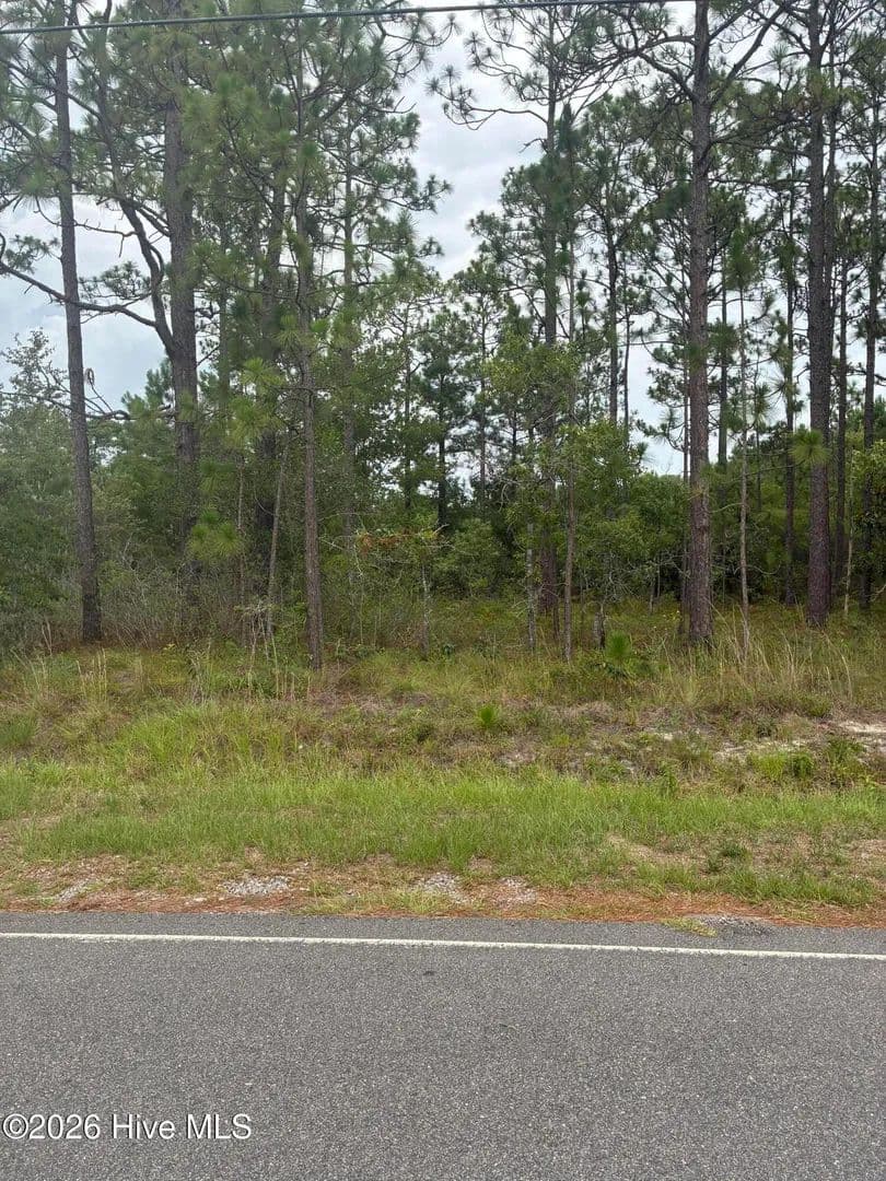 0.36 Acres of Land for Sale in Southport, NC - Southport, North Carolina, 28461