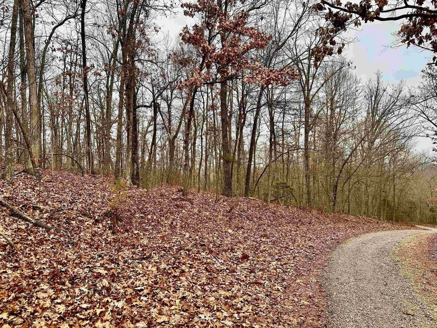 Lots & Land-Other in Hardy - Hardy, Arkansas, 72542