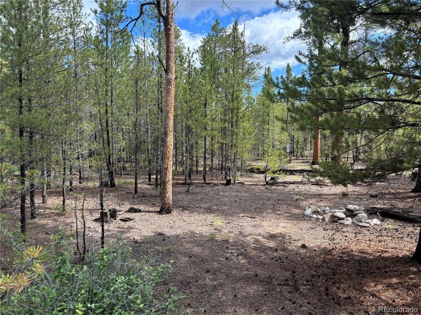 Lots & Land-Other in Twin Lakes - land for sale