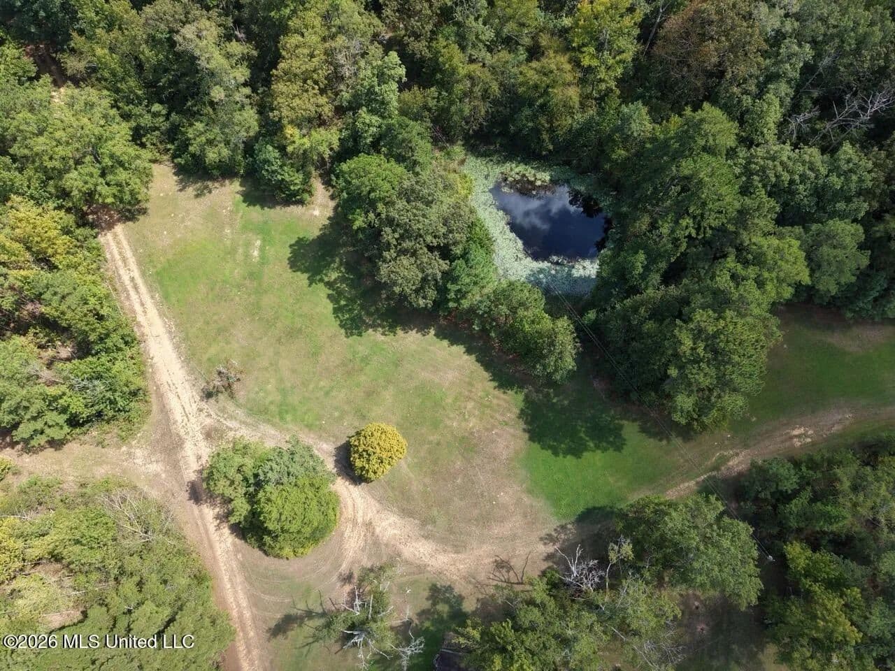 200± Acre Hunting Property in Jefferson County, MS - Union Church, Mississippi, 39668