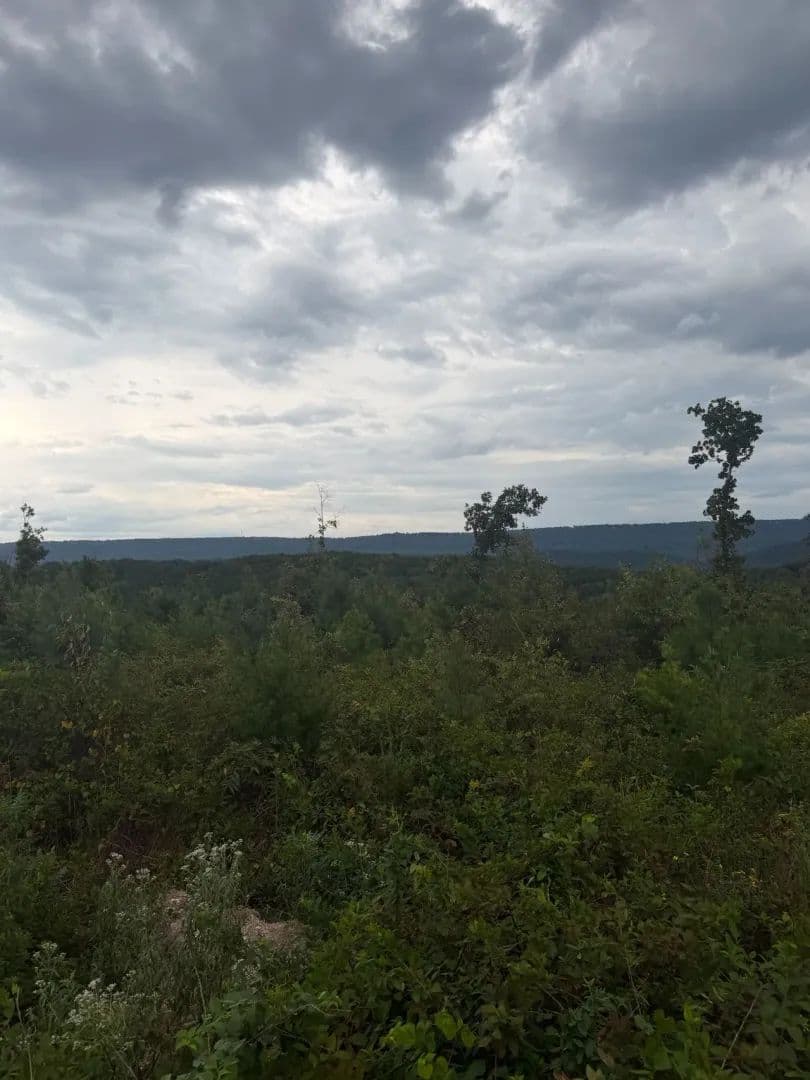 Beautiful 5+/-acre tract on Bethel Road in Hammondville, AL - Hammondville, Alabama, 35989
