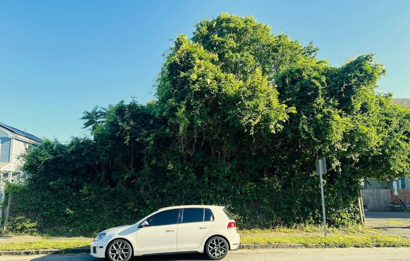 Vacant Land in Bridgeport