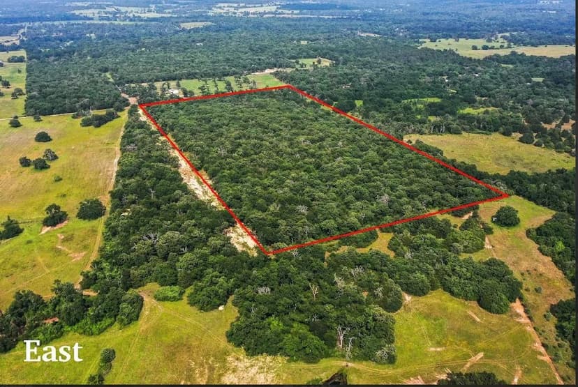 Property from 1329 PR 3491 - KW