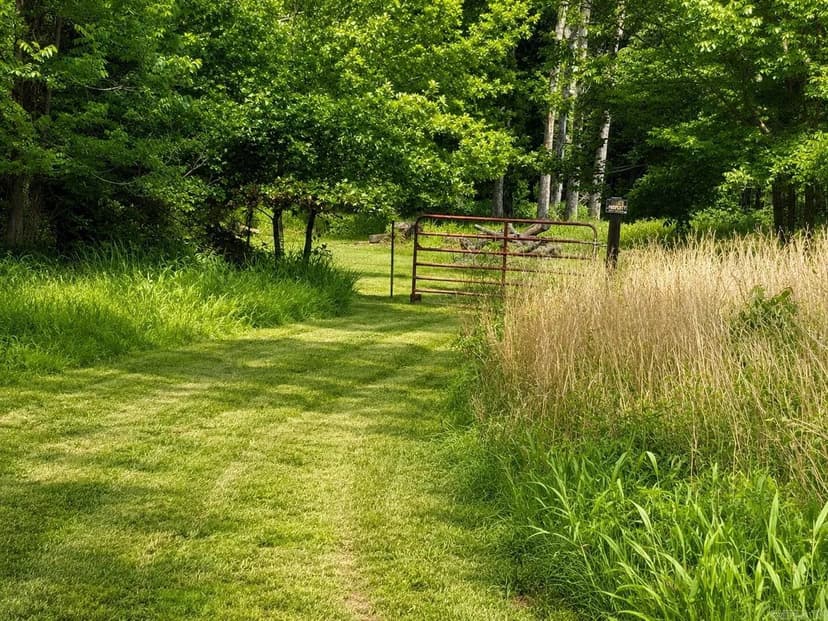 Lots & Land-Other in Mayflower