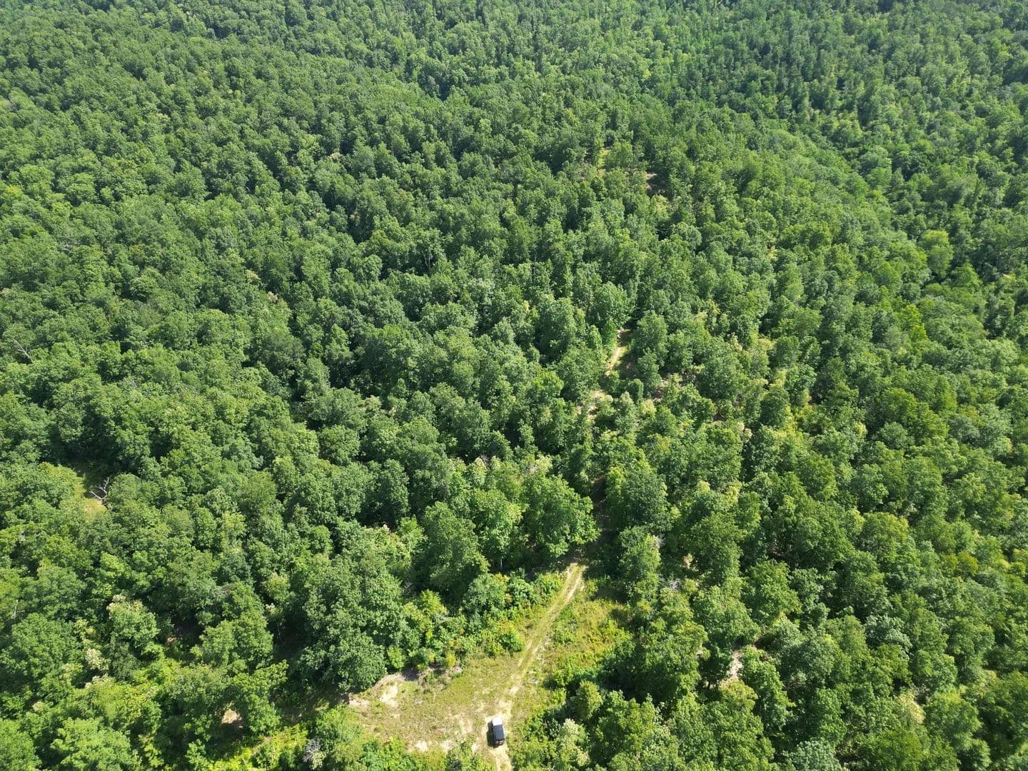 1144.39 Acres of Land for Sale in Linden, TN - Linden, Tennessee, 37096